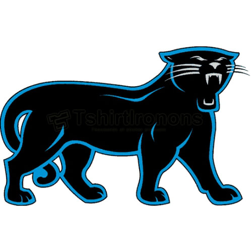 Carolina Panthers T-shirts Iron On Transfers N439 - Click Image to Close